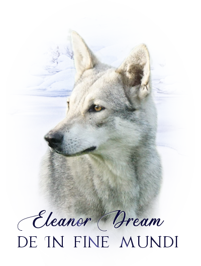 iko eleanor